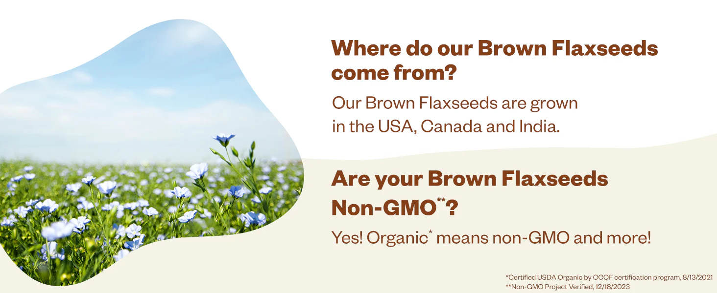 Brown Flax Seed - Whole - Image 8