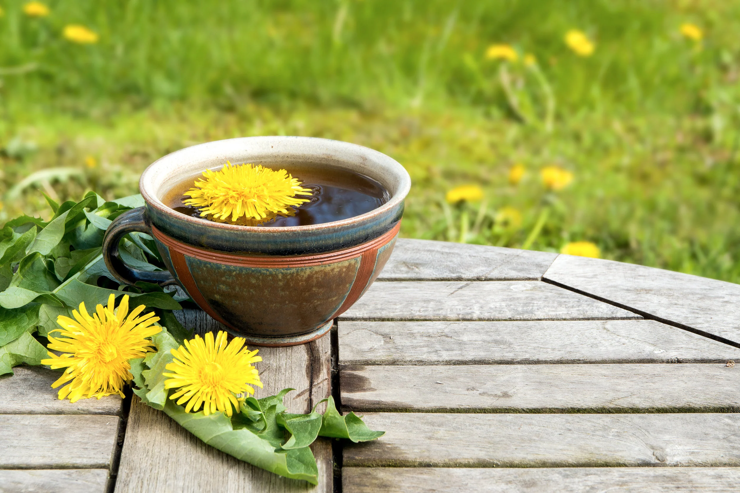 Dandelion Root - Cut & Sifted - Image 4