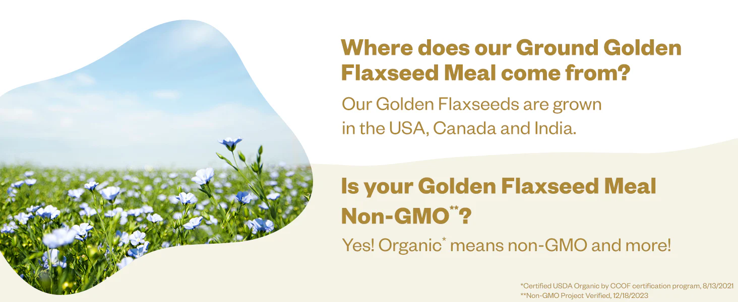 Golden Flax Seed - Ground - Image 7