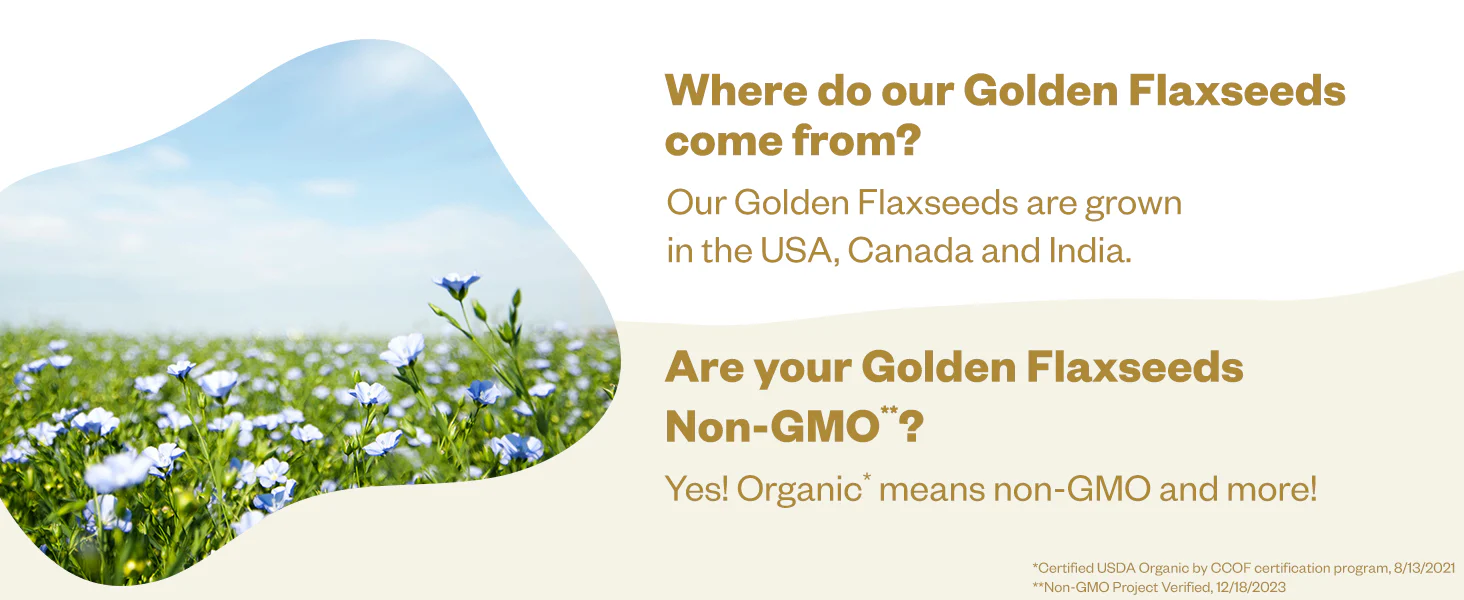 Golden Flax Seed - Whole - Image 6