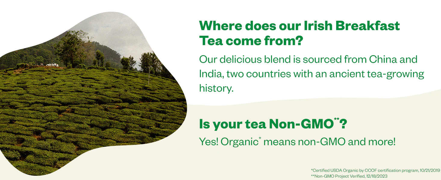 Irish Breakfast Tea Bags - Image 17