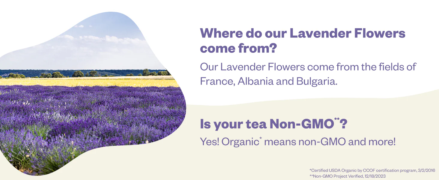 Lavender Flowers - Whole - Image 11