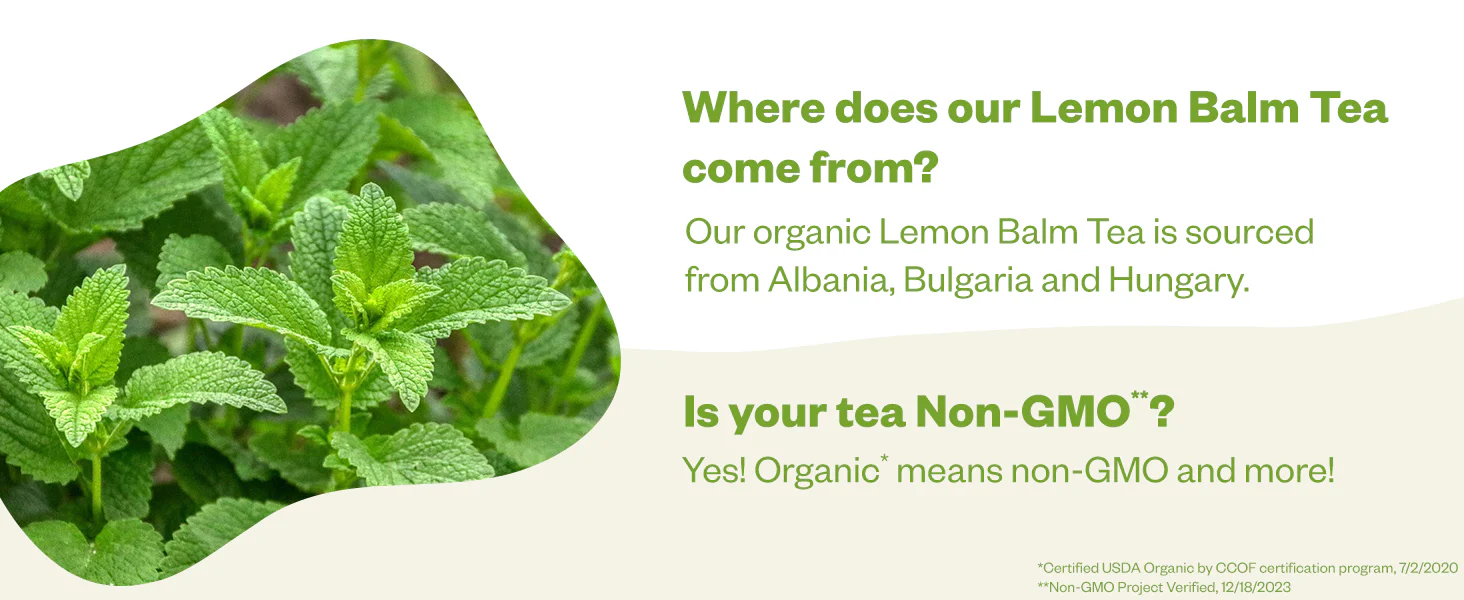 Lemon Balm Tea Bags - Image 6