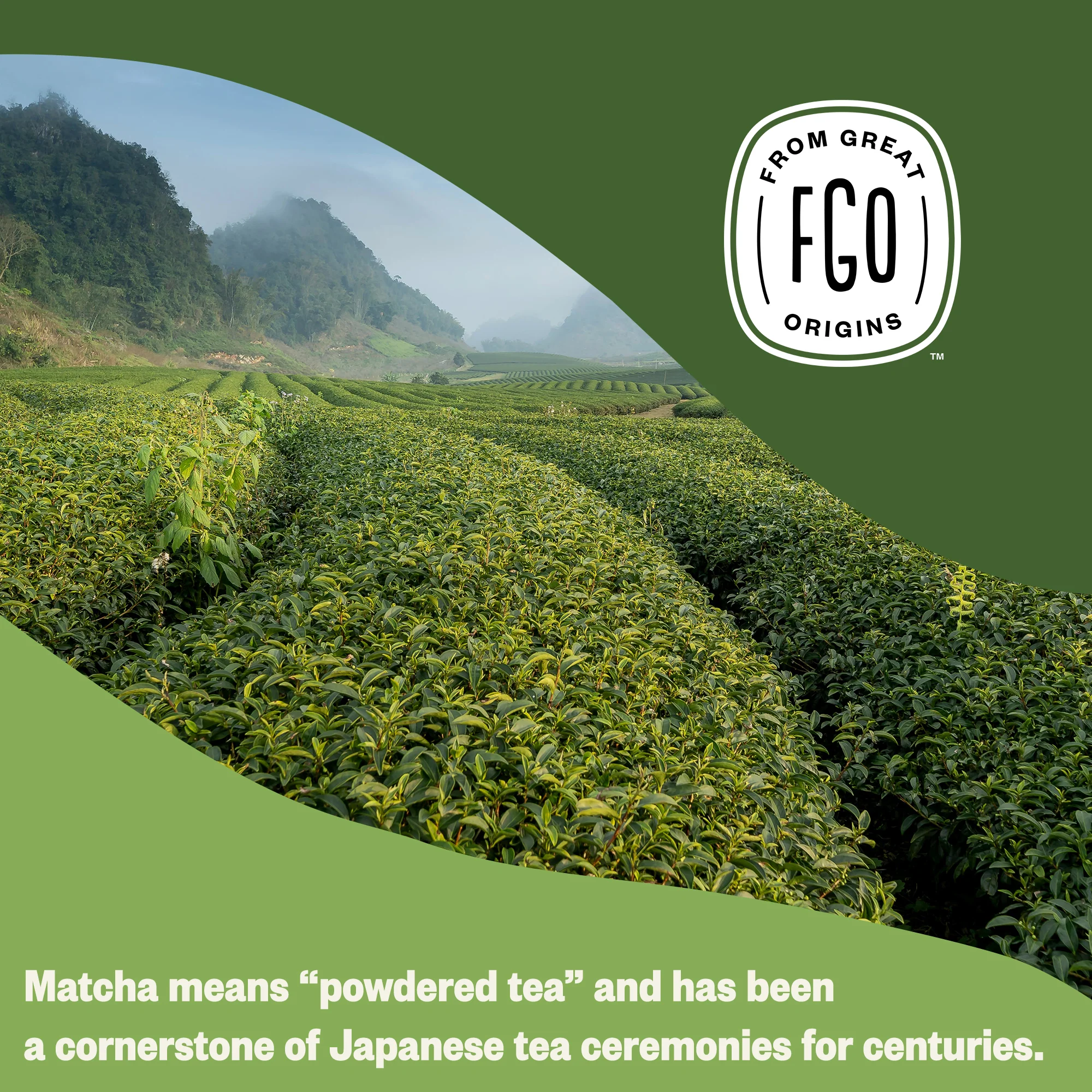Unsweetened Matcha Powder - Image 7