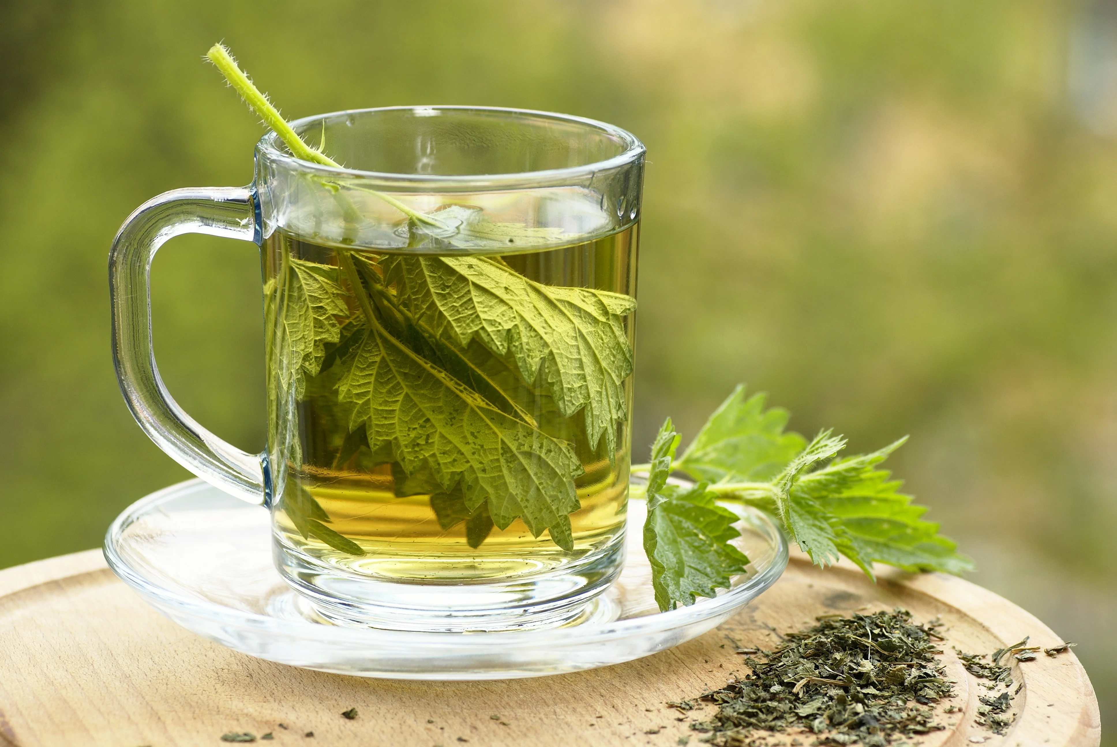 Nettle Leaf - Cut & Sifted - Image 6