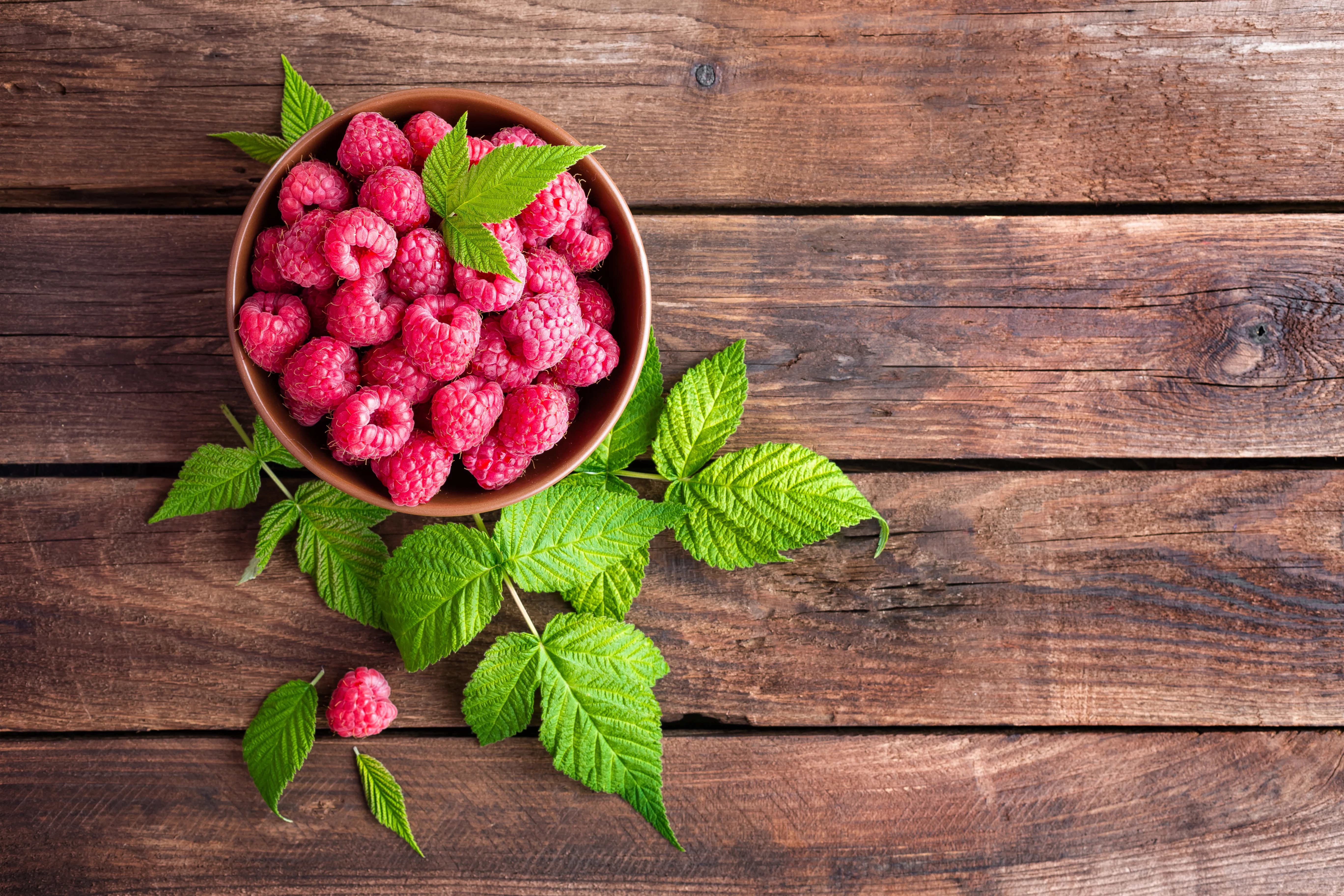 Raspberry Leaf - Cut & Sifted - Image 8