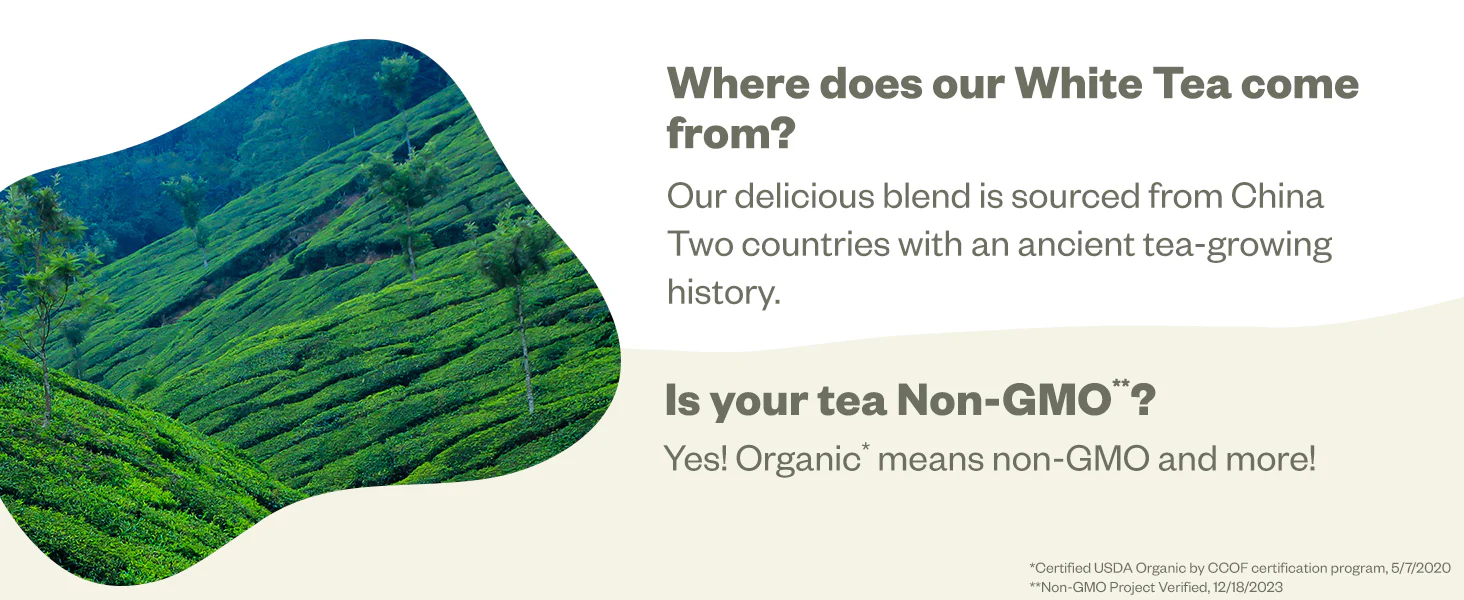 White Tea Bags - Image 7